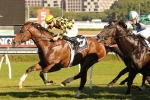 Scissor Kick earns a shot at Golden Rose Stakes