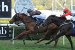 2014 Memsie Stakes Field Released