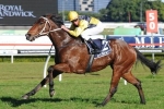 Rain Affair Fires Spring Warning with Missile Win