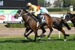 3 weeks break perfect for A.D. Hollindale Stakes favourite Comin’ Through