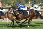 Winx all set for second up run in Chelmsford Stakes