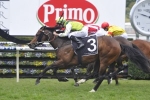 Divine Prophet’s Ladbrokes Caulfield Guineas Odds Drift