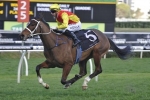 Omei Sword Too Good in Silver Shadow Stakes Omei Sword Too Good in Silver Shadow Stakes