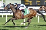Tycoon Tara Primed for Theo Marks Stakes
