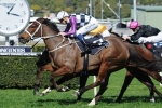 Amicus Included In Breeders Classic Nominations