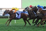 Decision Time Scores Brave Show County Quality Victory Decision Time Scores Brave Show County Quality Victory