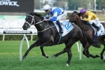 Waller Happy With Myer Classic Duo