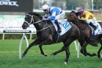 2015 Caulfield Cup Barrier Draw: Mongolian Khan Draws Well 2015 Caulfield Cup Barrier Draw: Mongolian Khan Draws Well