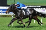 Money For Shards In Caulfield Guineas Betting