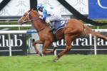 Soft track to help Bring Me The Maid in Doomben 10,000 Soft track to help Bring Me The Maid in Doomben 10,000