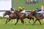 Messara Happy With 2015 Hobartville Stakes Duo
