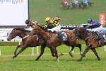 Messara Happy With 2015 Hobartville Stakes Duo Messara Happy With 2015 Hobartville Stakes Duo