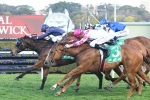 Golden Rose For Formality After Furious Stakes Win