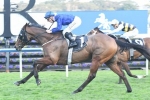 Epsom Handicap The Goal For Tramway Stakes Winner Happy Clapper