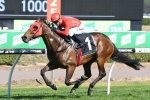Redzel wins trial in countdown to The Everest