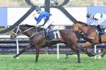Winx can set new G1 record with win in 2018 Chipping Norton Stakes