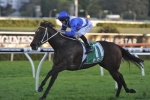 Felines out sprints her rivals in Concorde Stakes