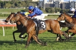 Hauraki scores first up win in Tramway Stakes