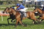 Hauraki Early Favourite in Epsom Handicap Betting