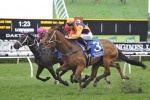 Spring Champion Stakes distance to suit Swear