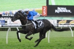 Complacent an outside chance of sneaking into Caulfield Cup Field Complacent an outside chance of sneaking into Caulfield Cup Field