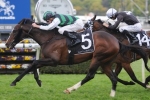 Hooked suited by 1400m of Victoria Handicap