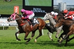 Flight Stakes Audition For Tap This In Tea Rose Stakes Flight Stakes Audition For Tap This In Tea Rose Stakes
