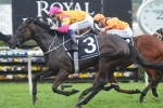 Shiraz Wins Concorde Stakes in Style