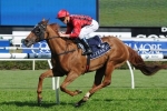 Cummings Leaning Towards Flight Stakes With Ocean Tempest Cummings Leaning Towards Flight Stakes With Ocean Tempest