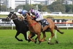 Caulfield Cup The Right Race For Hawkspur