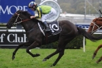 Rain Ideal For Lucia Valentina In Tramway Stakes