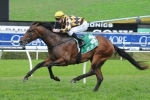 Panzer Division to take on older horses in George Main Stakes