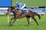 Winx Included In Tea Rose Stakes Field Winx Included In Tea Rose Stakes Field