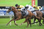Wouldnt It Be Nice Takes Out Concorde Stakes Wouldnt It Be Nice Takes Out Concorde Stakes
