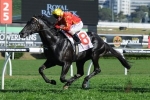 Aussies Love Sport Aiming For Three Straight In Stan Fox Stakes