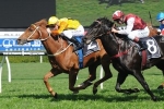 Decision Time Holds Off Sessions For Second Concorde Stakes Victory Decision Time Holds Off Sessions For Second Concorde Stakes Victory