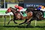Redzel on track for 3rd Everest with 3rd Concorde Stakes win