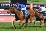 Alizee heads fillies line up in 2018 Surround Stakes nominations
