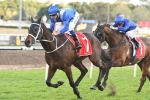 Winx Is The 2017 George Main Stakes Winner Winx Is The 2017 George Main Stakes Winner