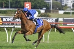 Hartnell Dominant Again In Hill Stakes