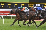 Epsom Handicap Next For Bill Ritchie Handicap Winner Sons Of John Epsom Handicap Next For Bill Ritchie Handicap Winner Sons Of John