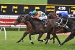 Epsom Handicap Next For Bill Ritchie Handicap Winner Sons Of John