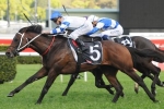 Kermadec Forward For Canterbury Stakes