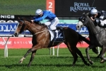 Flight Stakes Likely for Tea Rose Stakes Winner Pearls