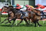 Rebel Dane On Top Of Australia Stakes Betting