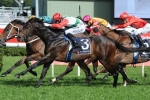Rebel Dane On Top Of Australia Stakes Betting Rebel Dane On Top Of Australia Stakes Betting