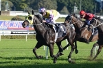 Sacred Falls takes out George Main Stakes