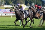 Sacred Falls On Top Of Doncaster Mile Field