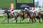 Barbed Lands Betting Plunge In 2013 Heritage Handicap Barbed Lands Betting Plunge In 2013 Heritage Handicap