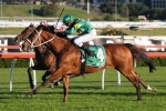 Moriarty To Metropolitan Handicap After Hill Stakes Win